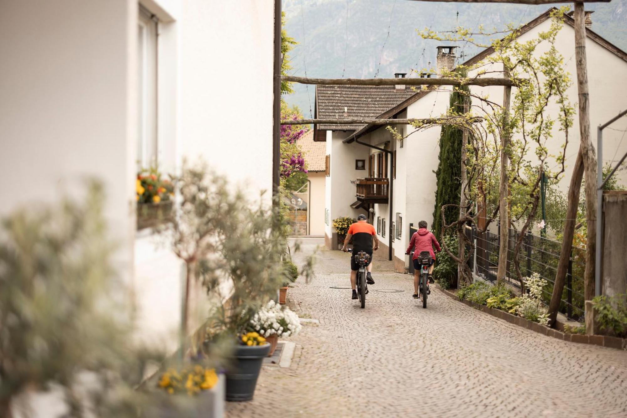 Weingarten Terlan - Rooms & Breakfast Exterior foto